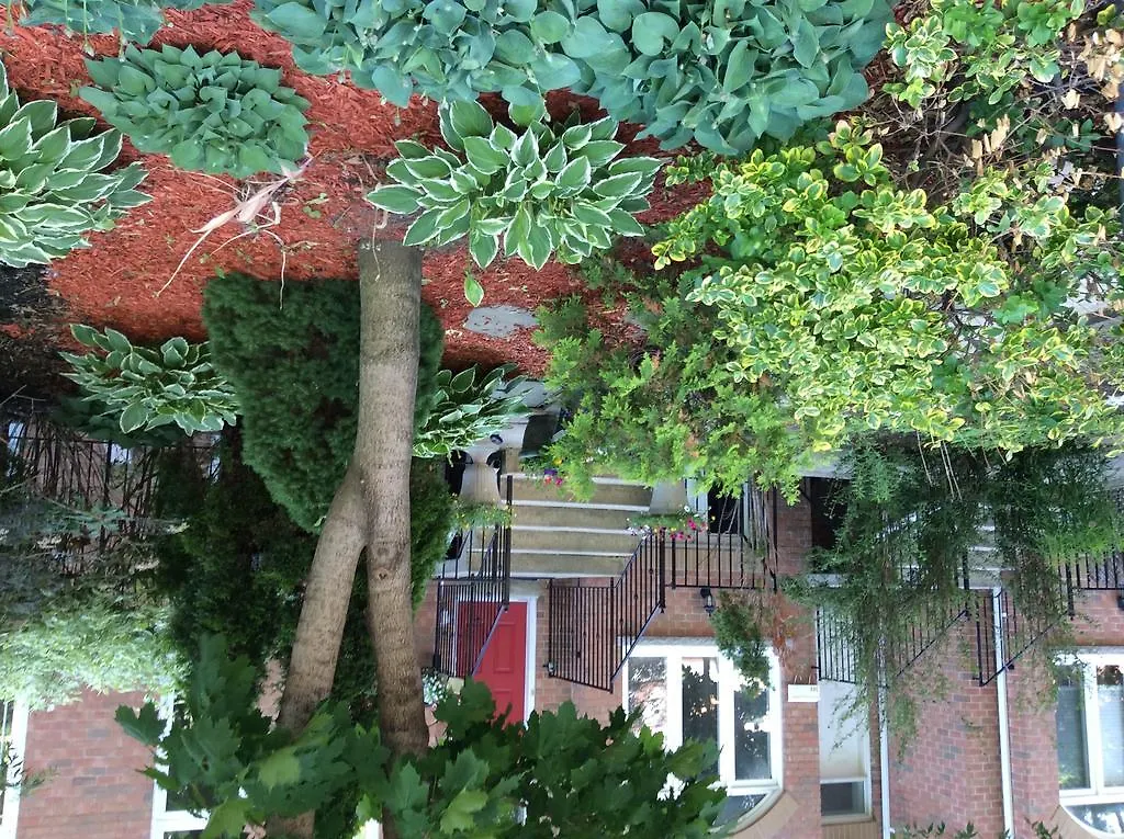 A Suite Dreams Toronto B&B (Adults Only) Canada